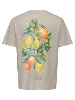 Only and Sons miesten t-paita Onsfred Life RLX SS Print Tee, Silver Lining Citros