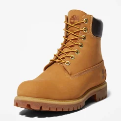 Timberland Miesten Kengät 6 INCH PREMIUM BOOT PRIMALOFT INSULATION, beige